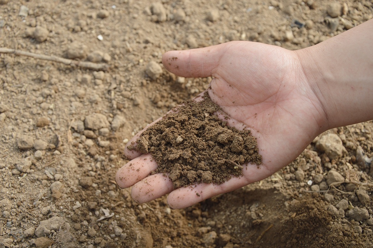 soil, hand, farm-766281.jpg